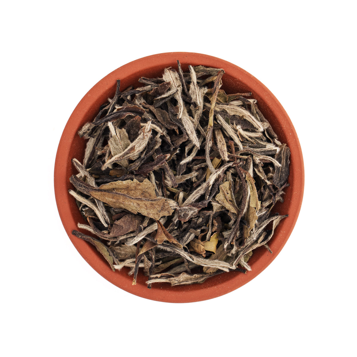 Bai Mu Dan Tea